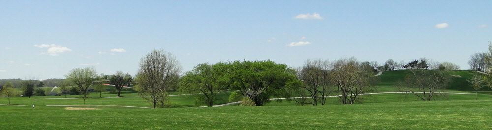DSC06831
